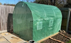 Amazon Polly Tunnel