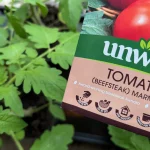 Tomato plants unwins beefsteak